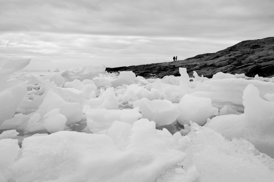 Ice -1 (9045497008)