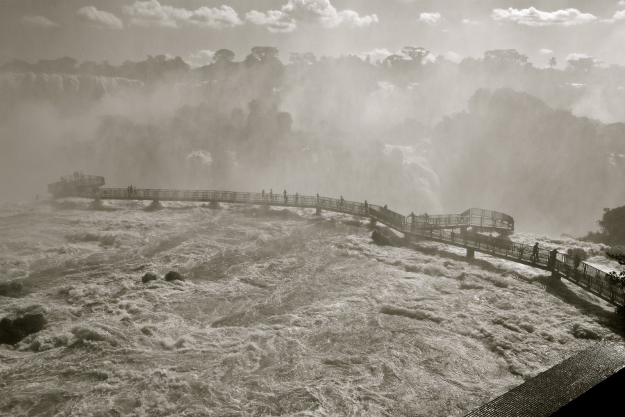 In the Wet of the Falls (5464873229)