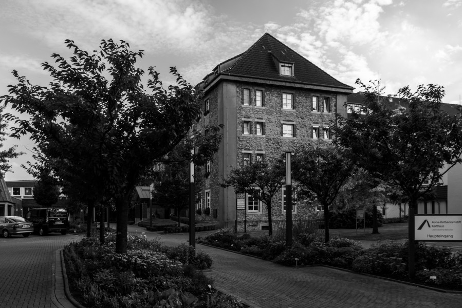 Kirchspiel, Weddern, Anna-Katharinenstift -- 2013 -- 1