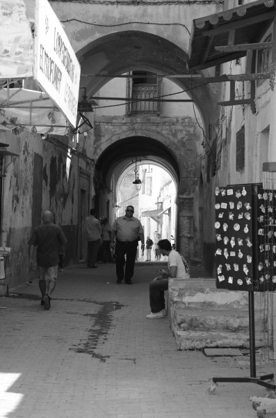 Mdina arbi 16