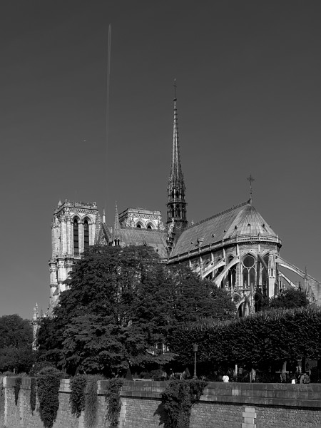 Notre-Dame de Paris vue du Pont de l'Archevéché