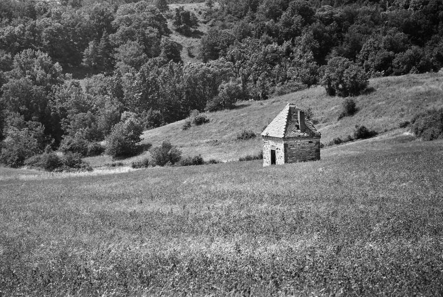 St-Julien tonne 0707B NB