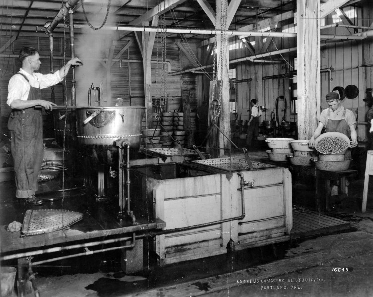 Starr Fruit Company (6355339425)