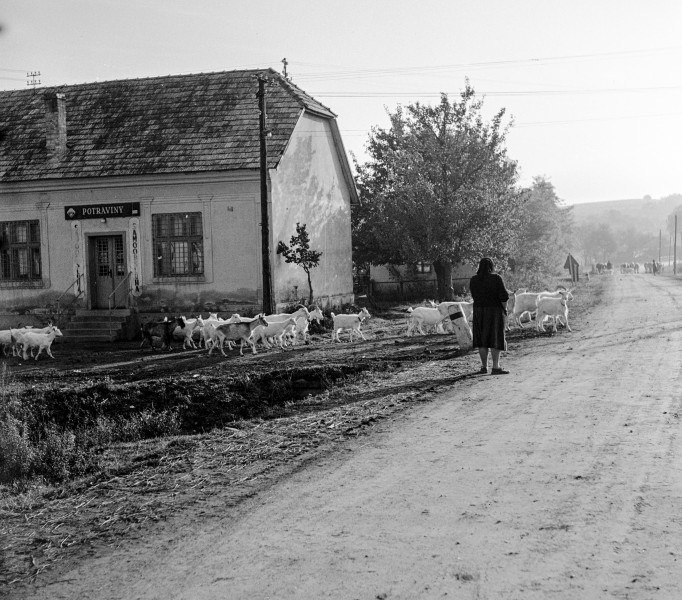 Ulica 9. mája, balra az ulica Nova. Fortepan 54005