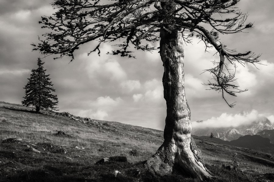 Velika planina-117282
