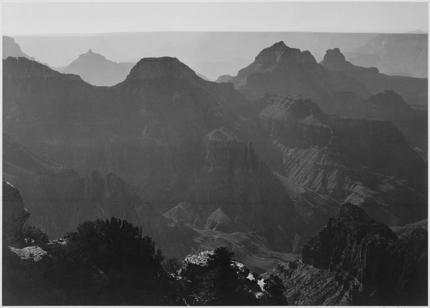 View with shrub detail in foreground, 
