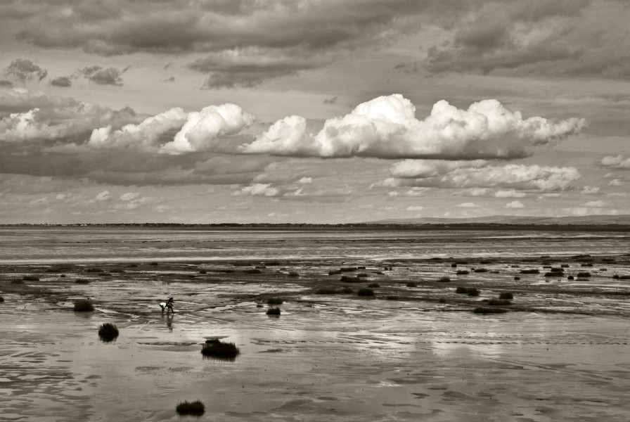Walking in Southport (6429578503)