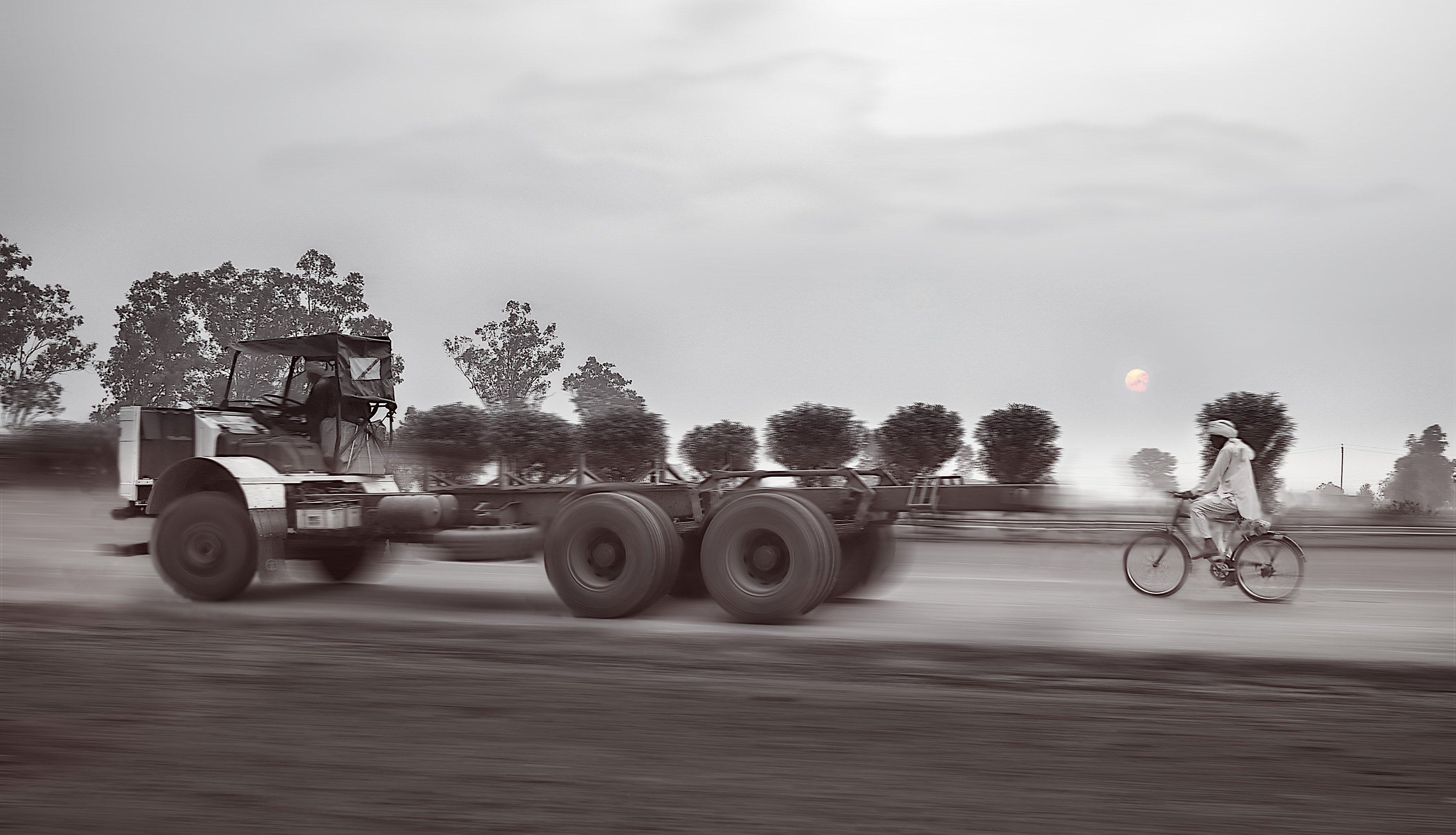 Race in India