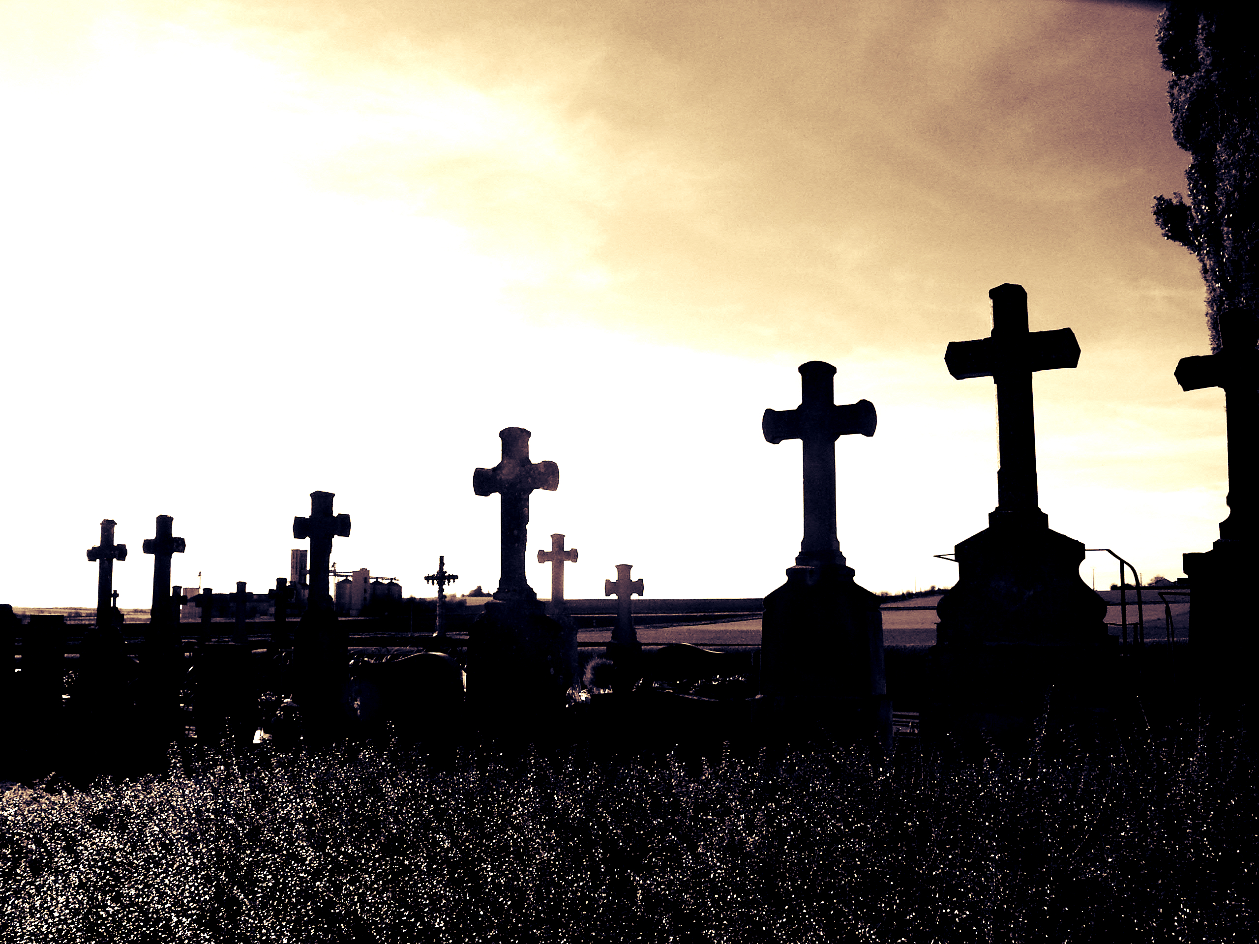 Rochemenier Cimetière 2