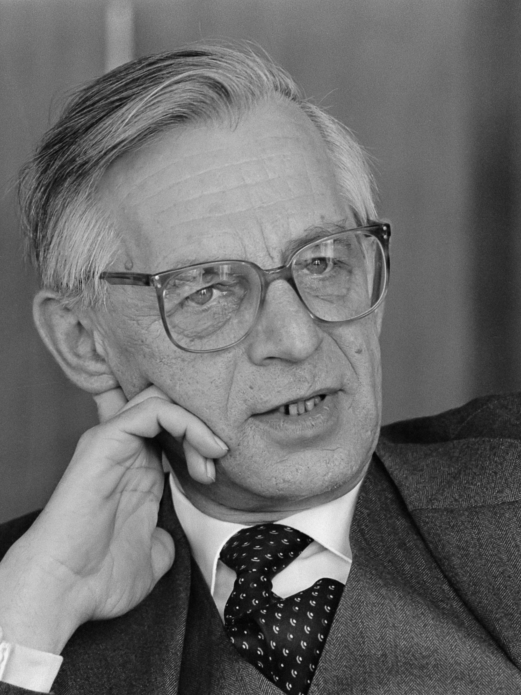 Roelof Nelissen (1985)