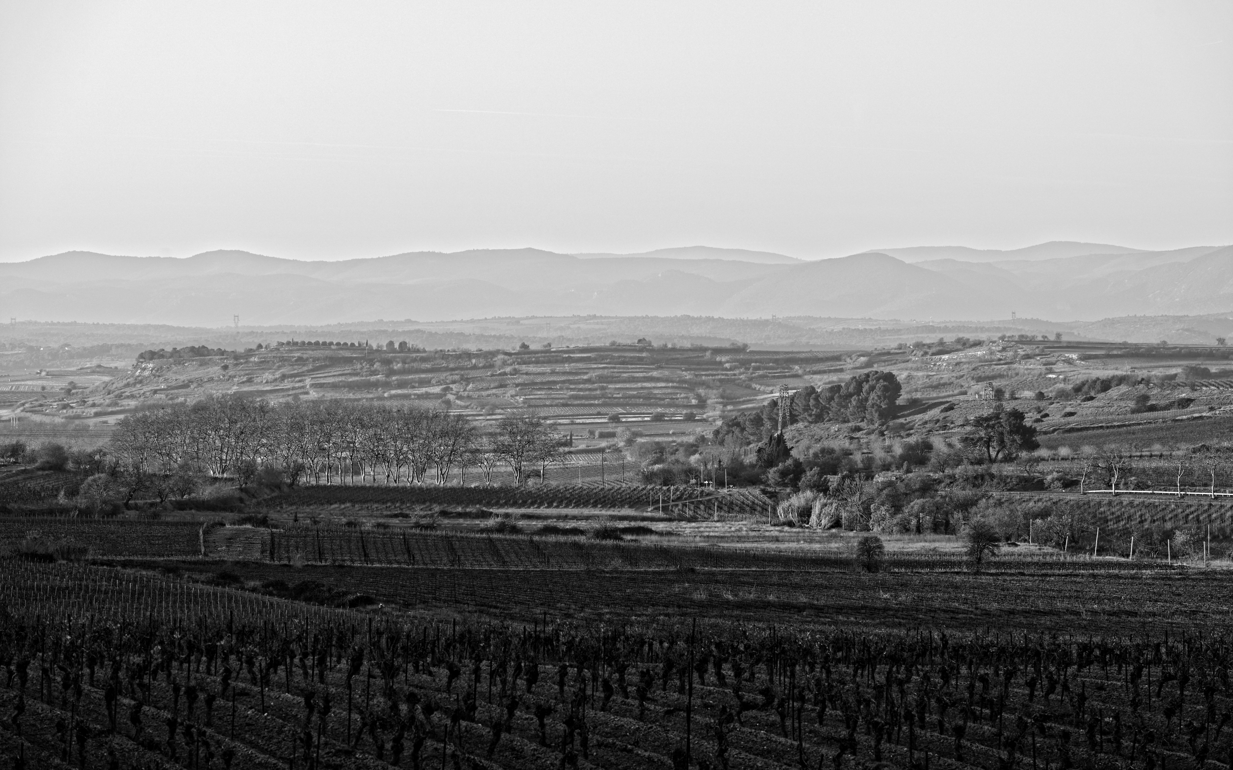 Landscape in Capestang BW cf01