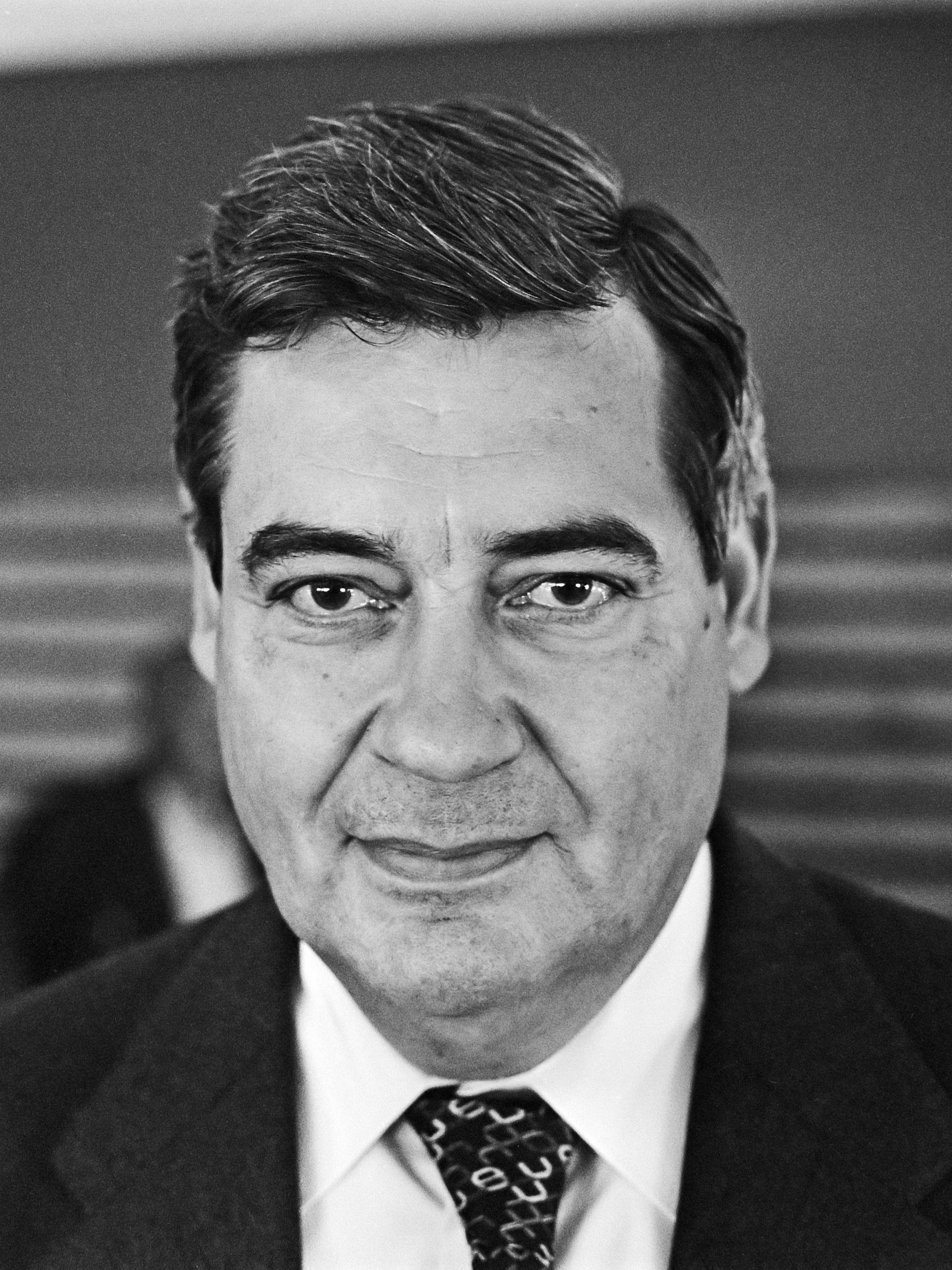 Ton Harmsen (1978)