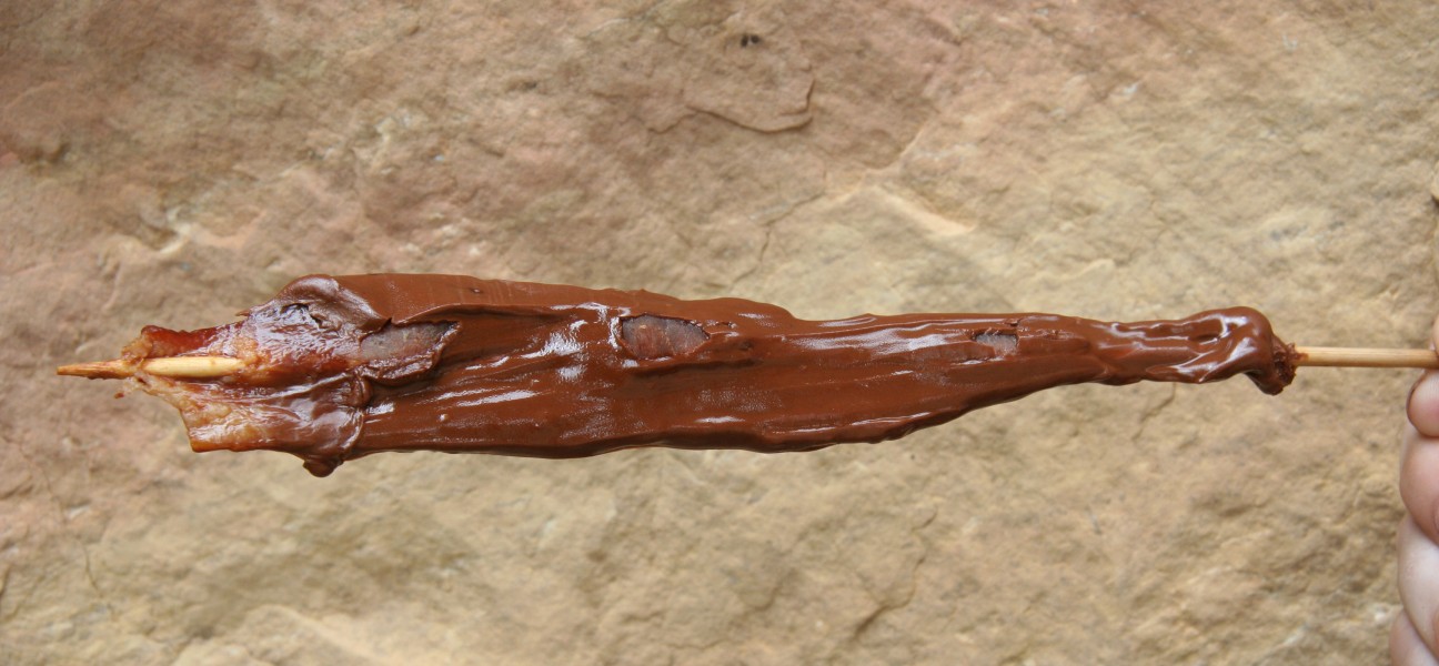 Chocolate Covered Bacon Stick