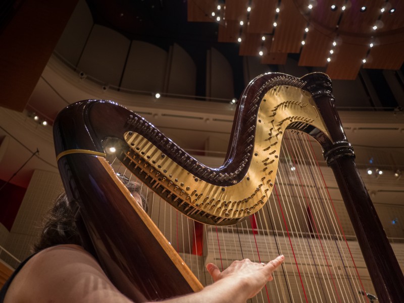 Harfe im Konzertsaal P1180877