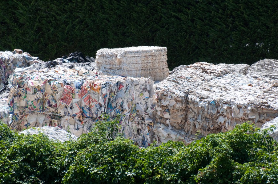 Paper recycling in Ponte a Serraglio