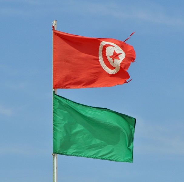 Tunisian Flag R01