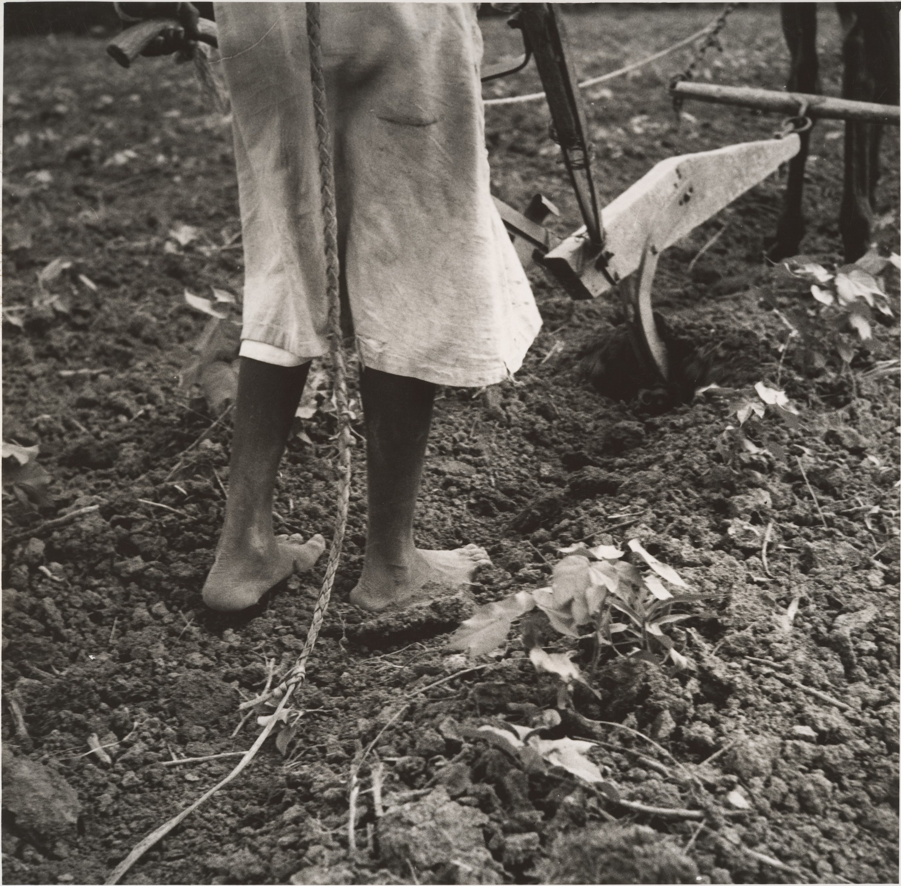 Alabama Plow Girl, near Eutaw, Alabama MET DP212790