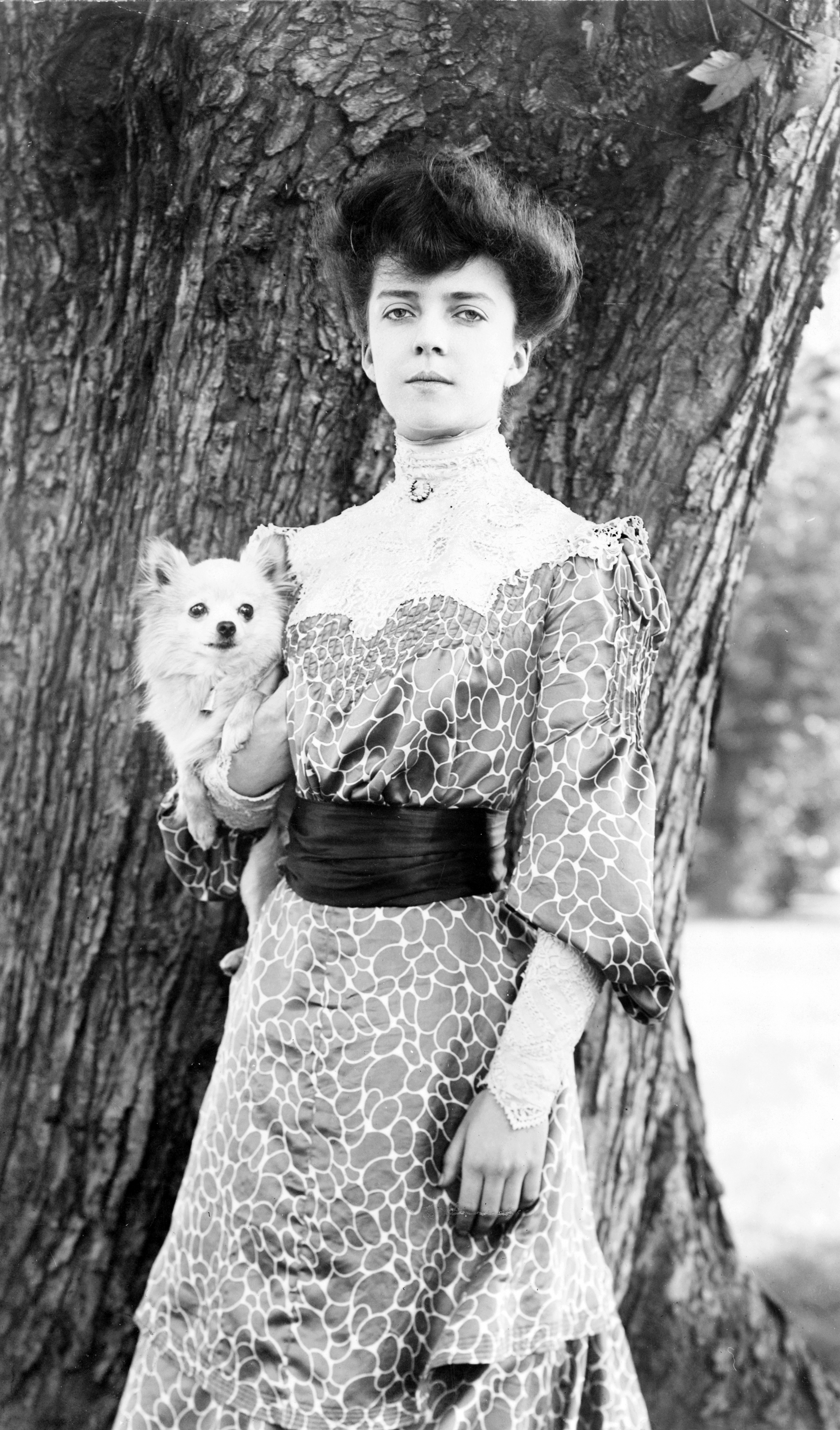 AliceRooseveltwPekingeseDog1902