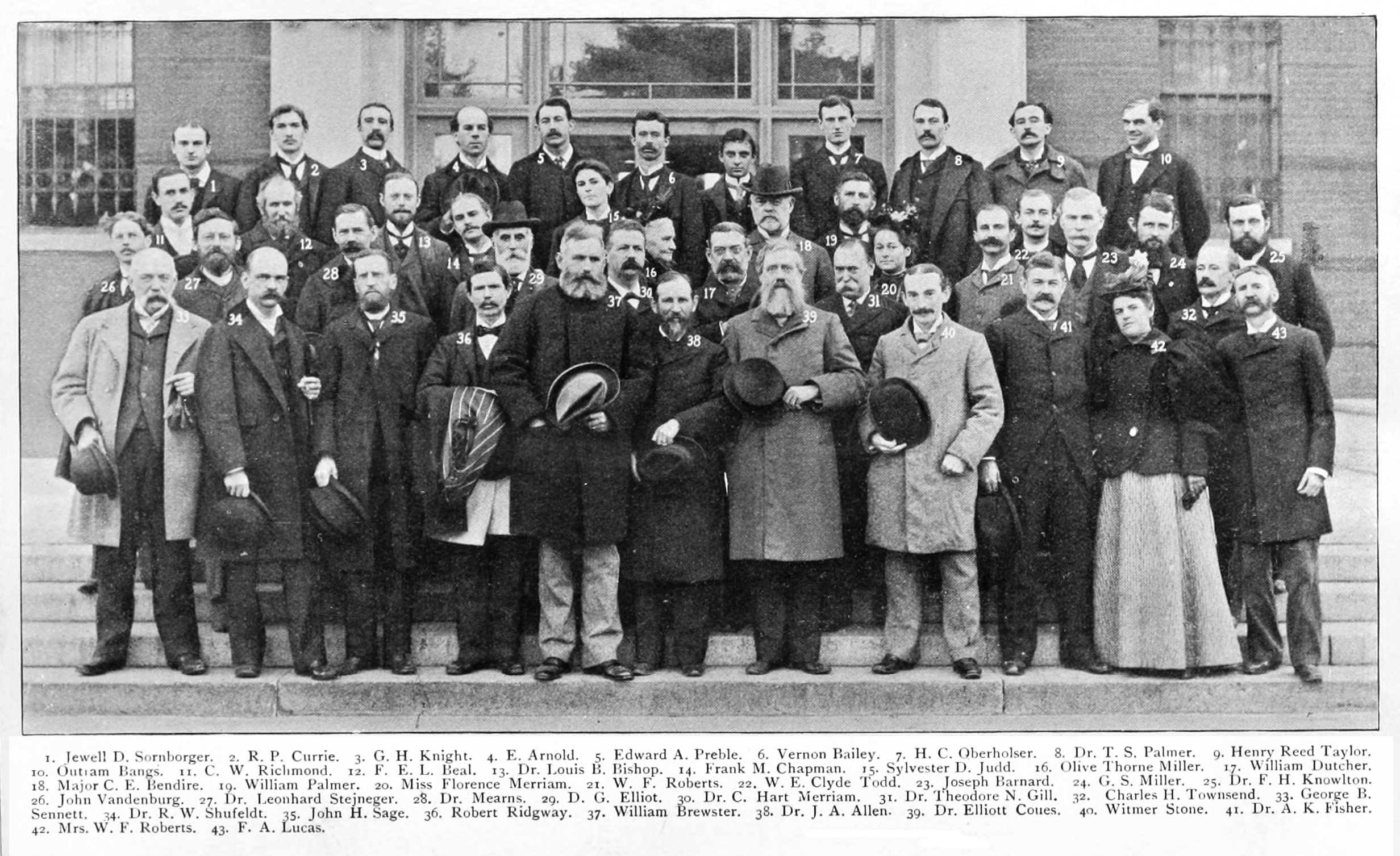 AmericanOrnithologists