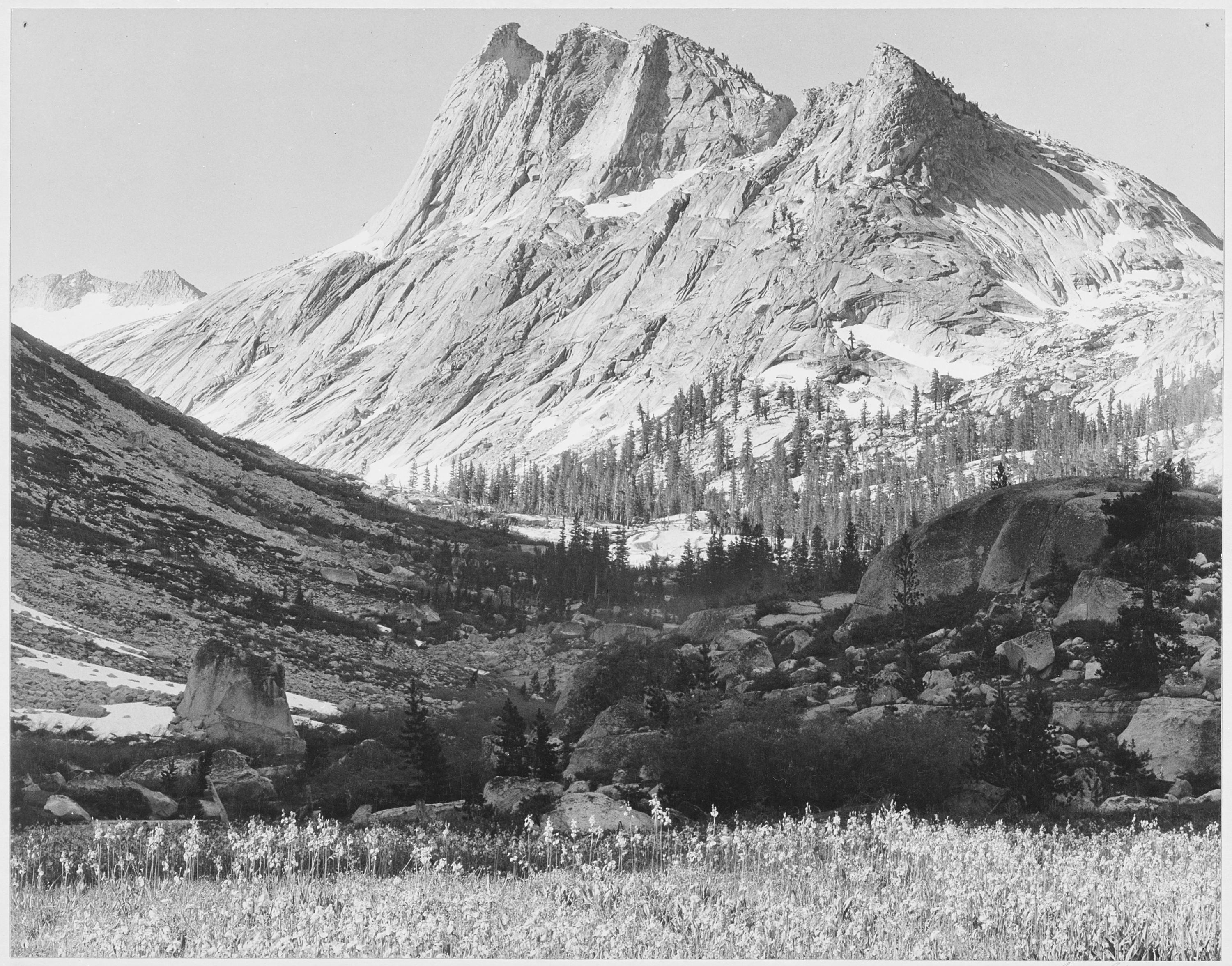 Ansel Adams - National Archives 79-AA-H25