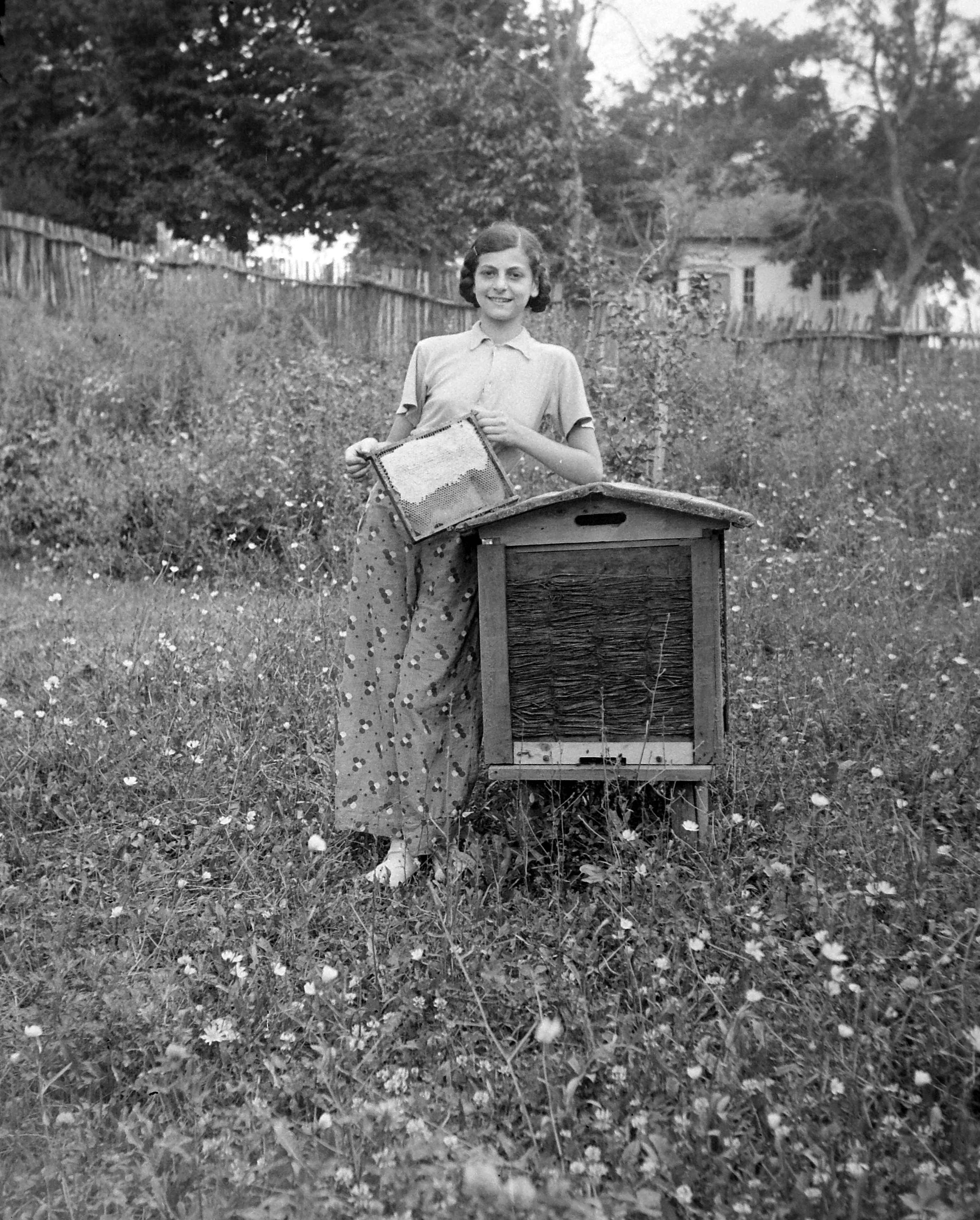 Beekeeping Fortepan 11457