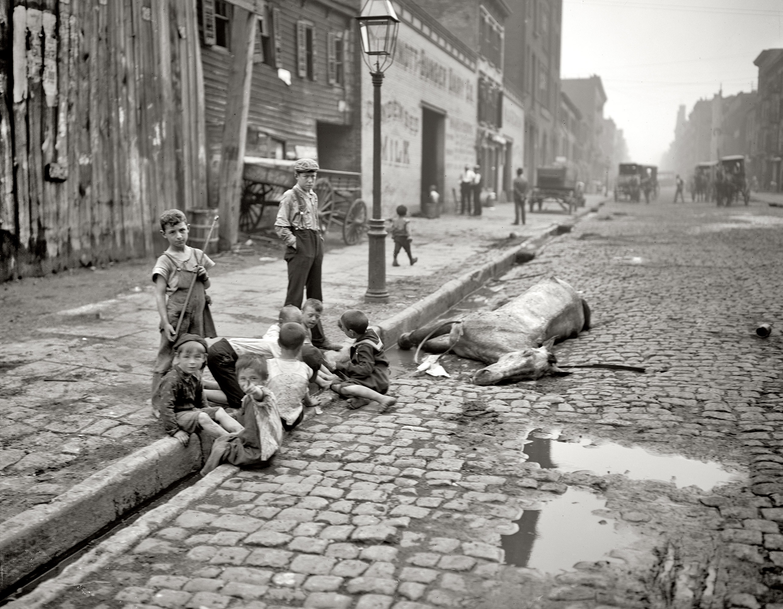 Children playing near a dead horse