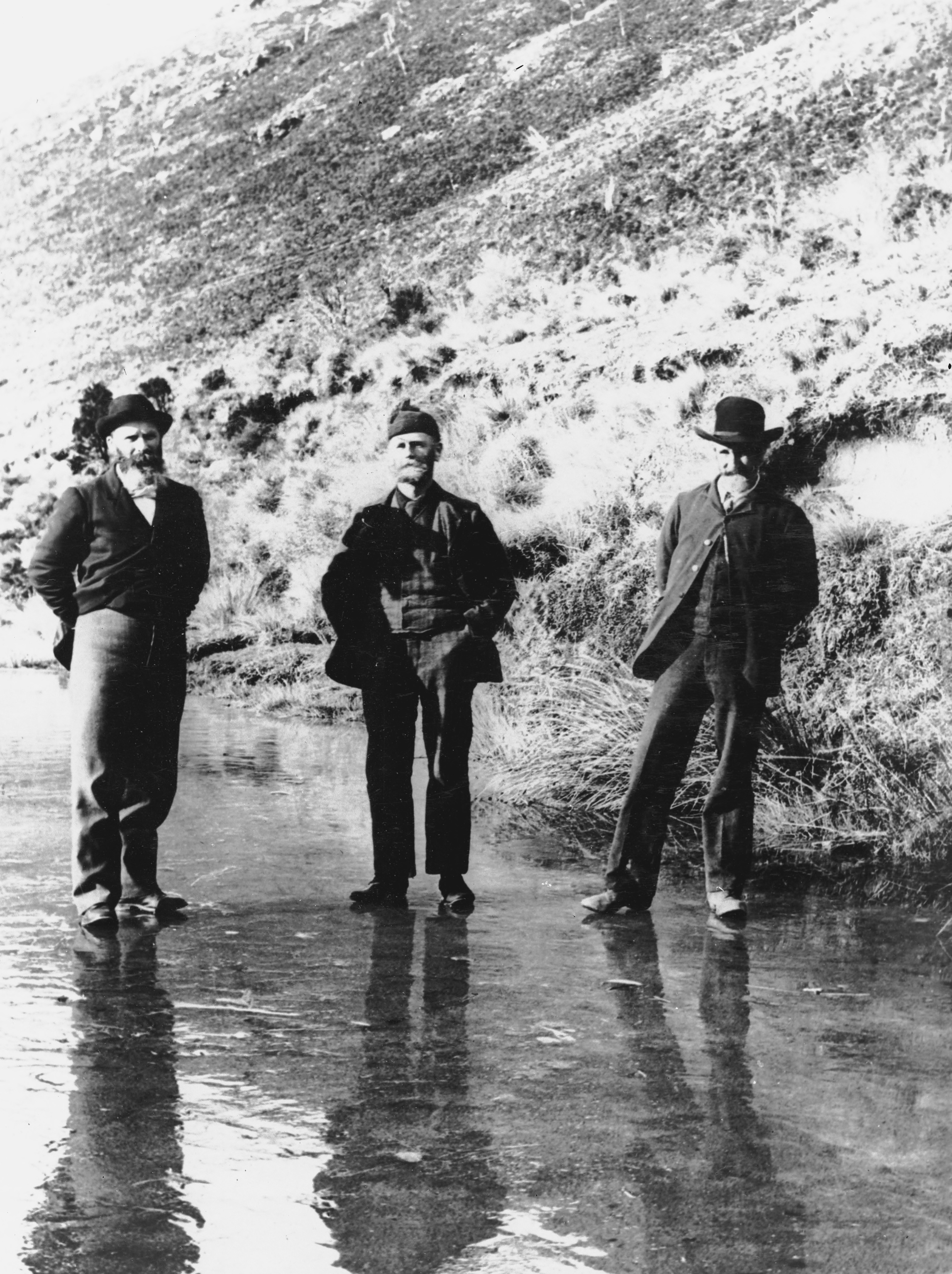 Douglas, Roberts and Cockayne at the Bealey Valley
