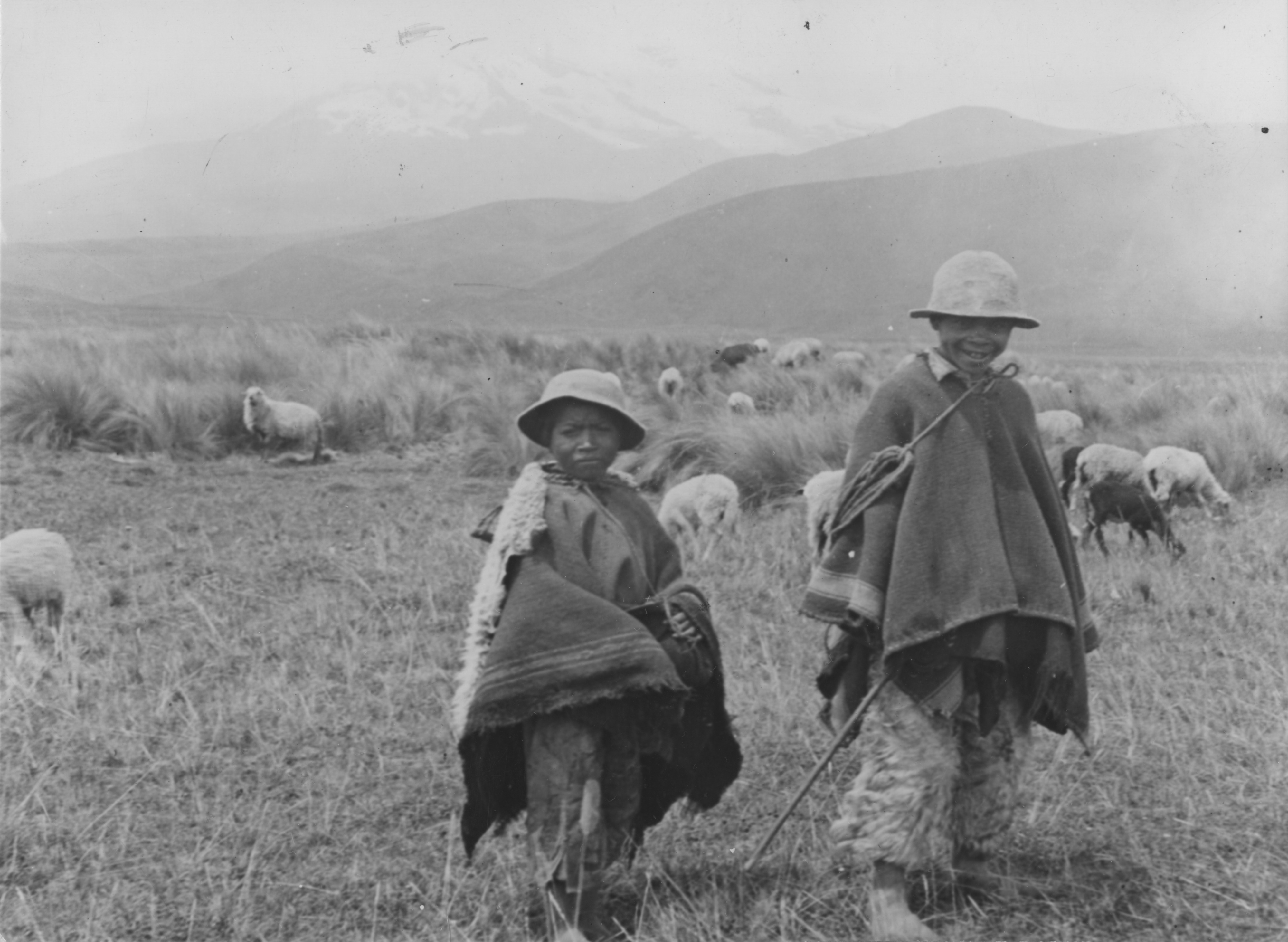 Ecuador - 42-5369 - Shepherd boys near Chimborazo mountain