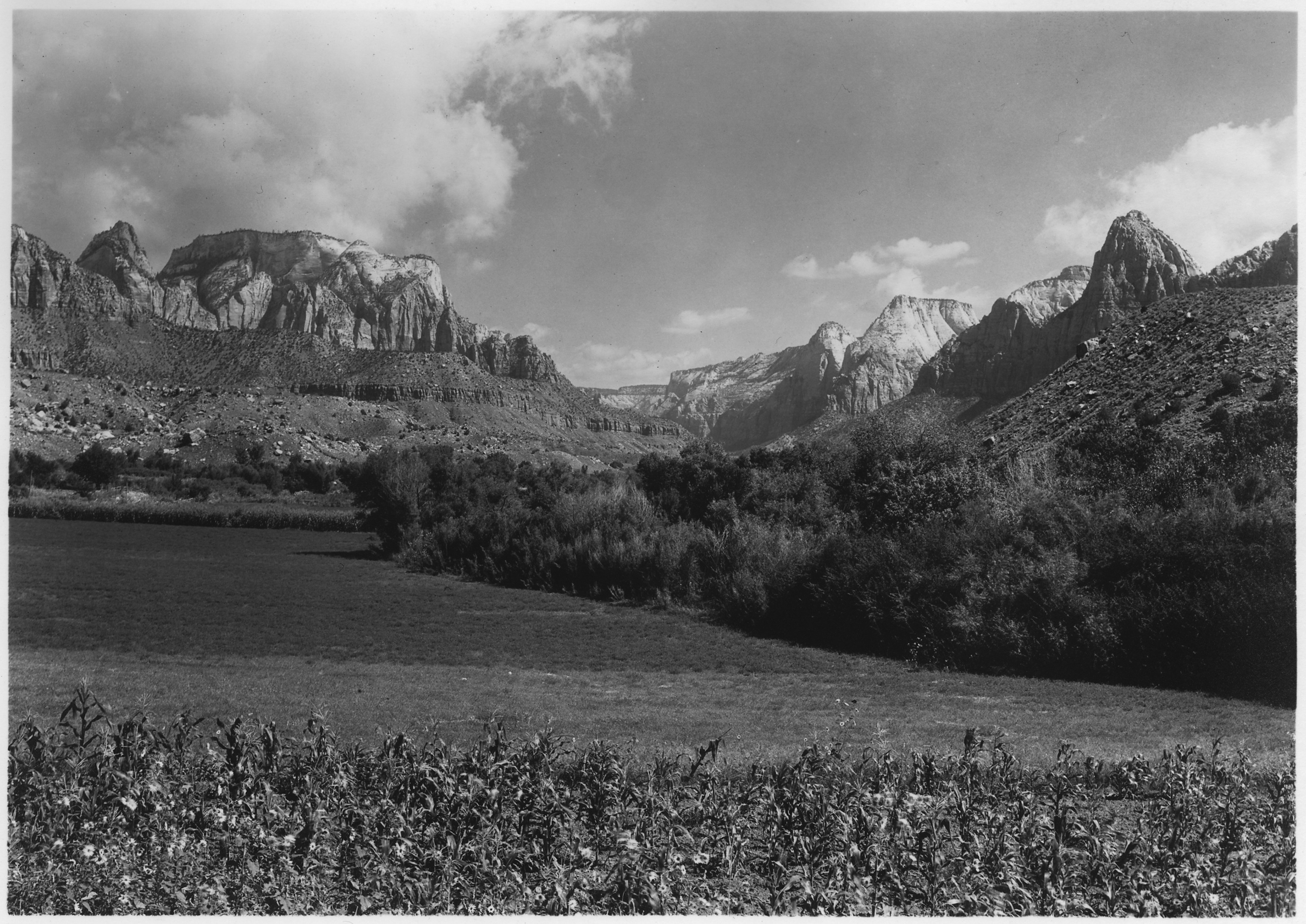 Entrance to Zion Canyon below Springdale, Utah, showing both sides. - NARA - 520358