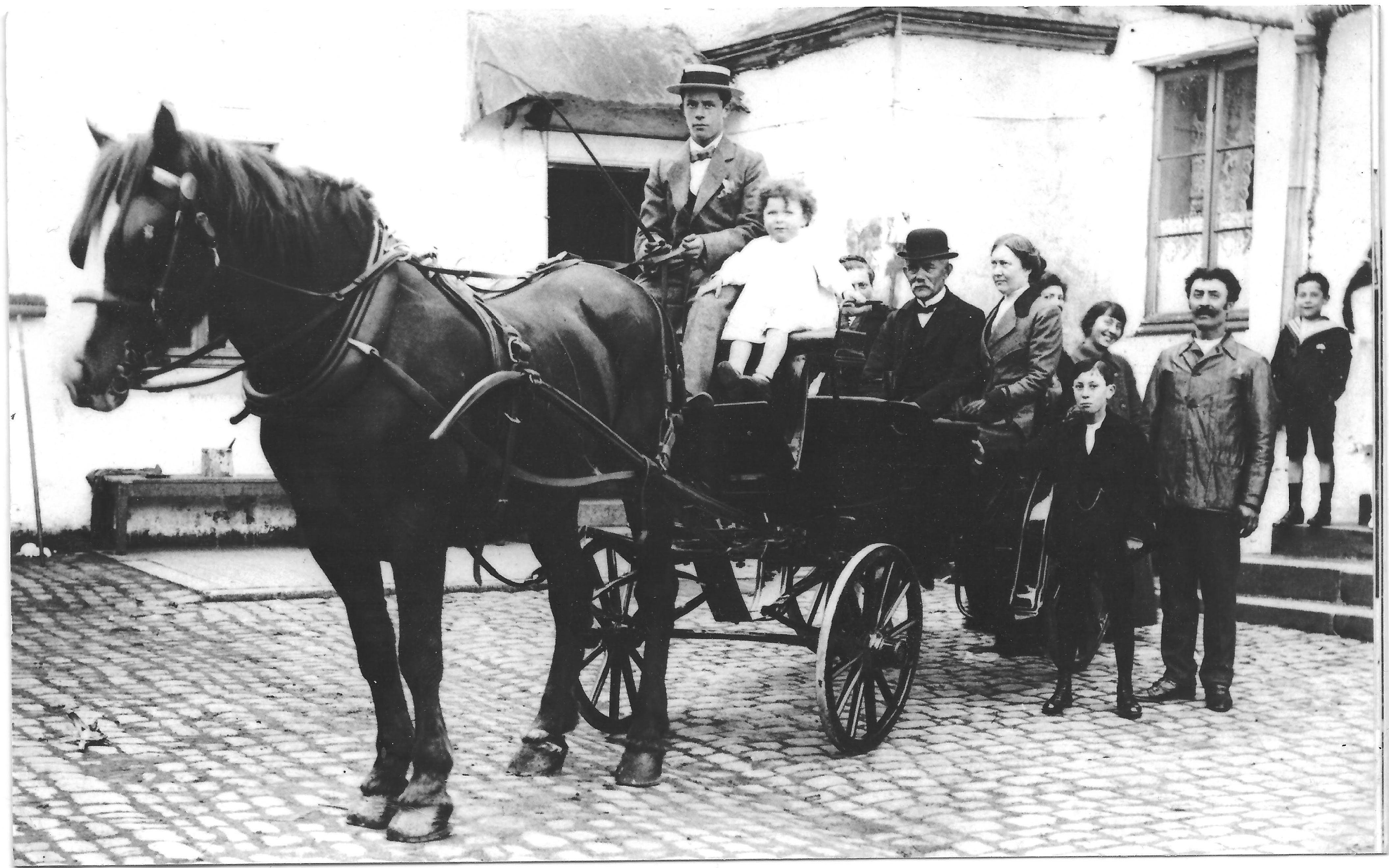 Familie uitje per paardenkoets