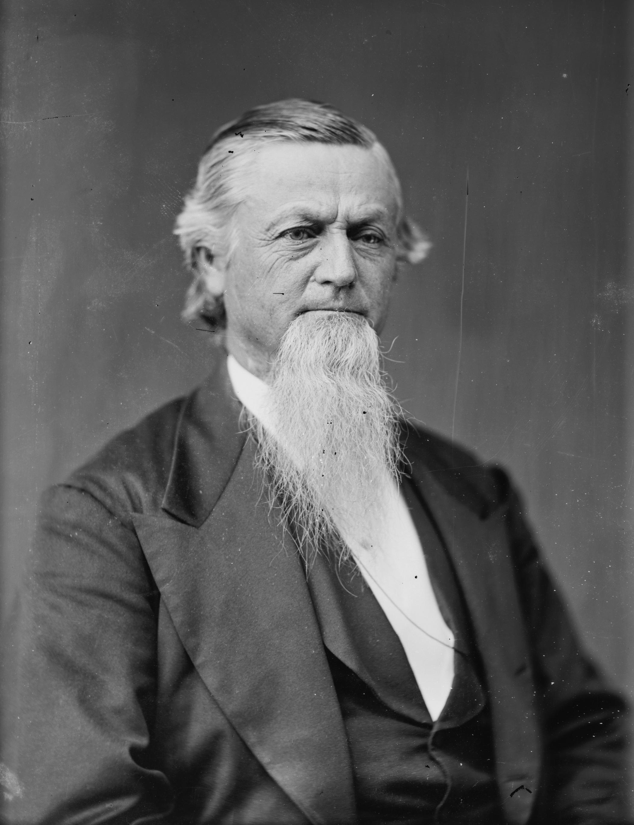 George Gibbs Dibrell - Brady-Handy