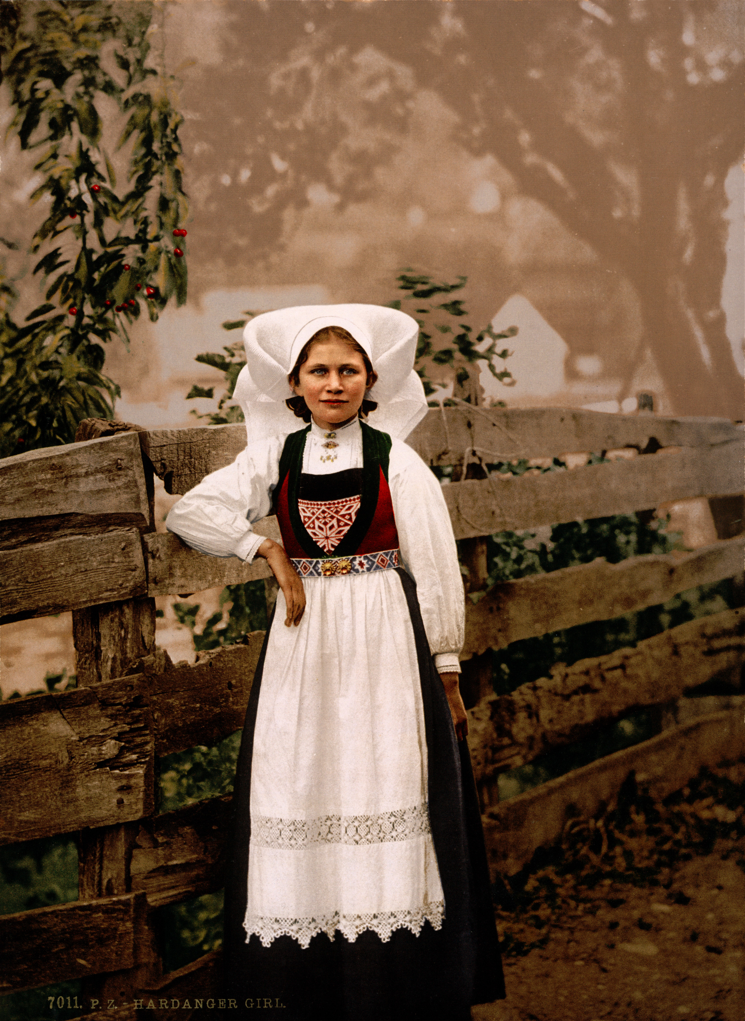 Hardanger girl, Hardanger Fjord, Norway, ca. 1897