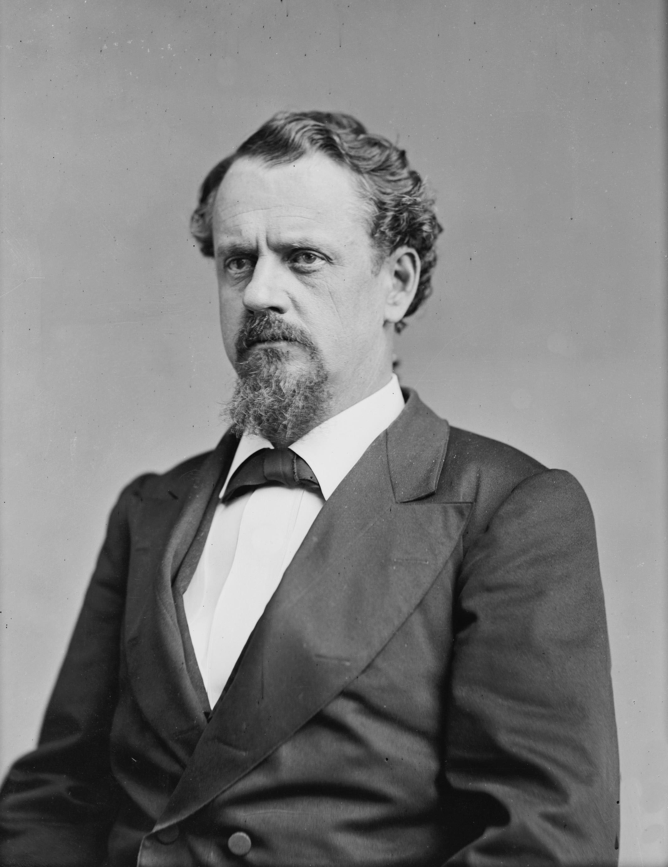 John Y. Brown 1835-1904 - Brady-Handy