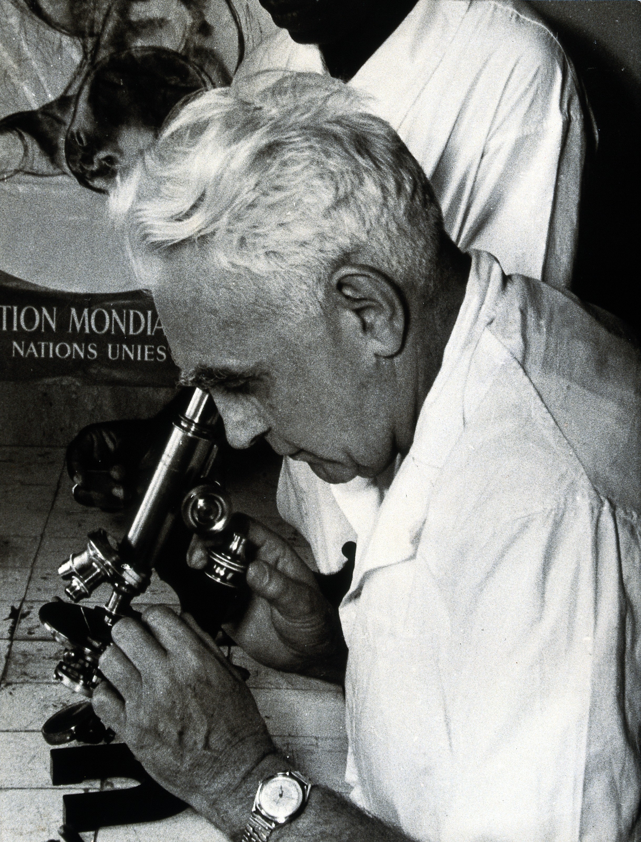 L. Morin looking at some microscopic slides. Photograph by L Wellcome V0027994