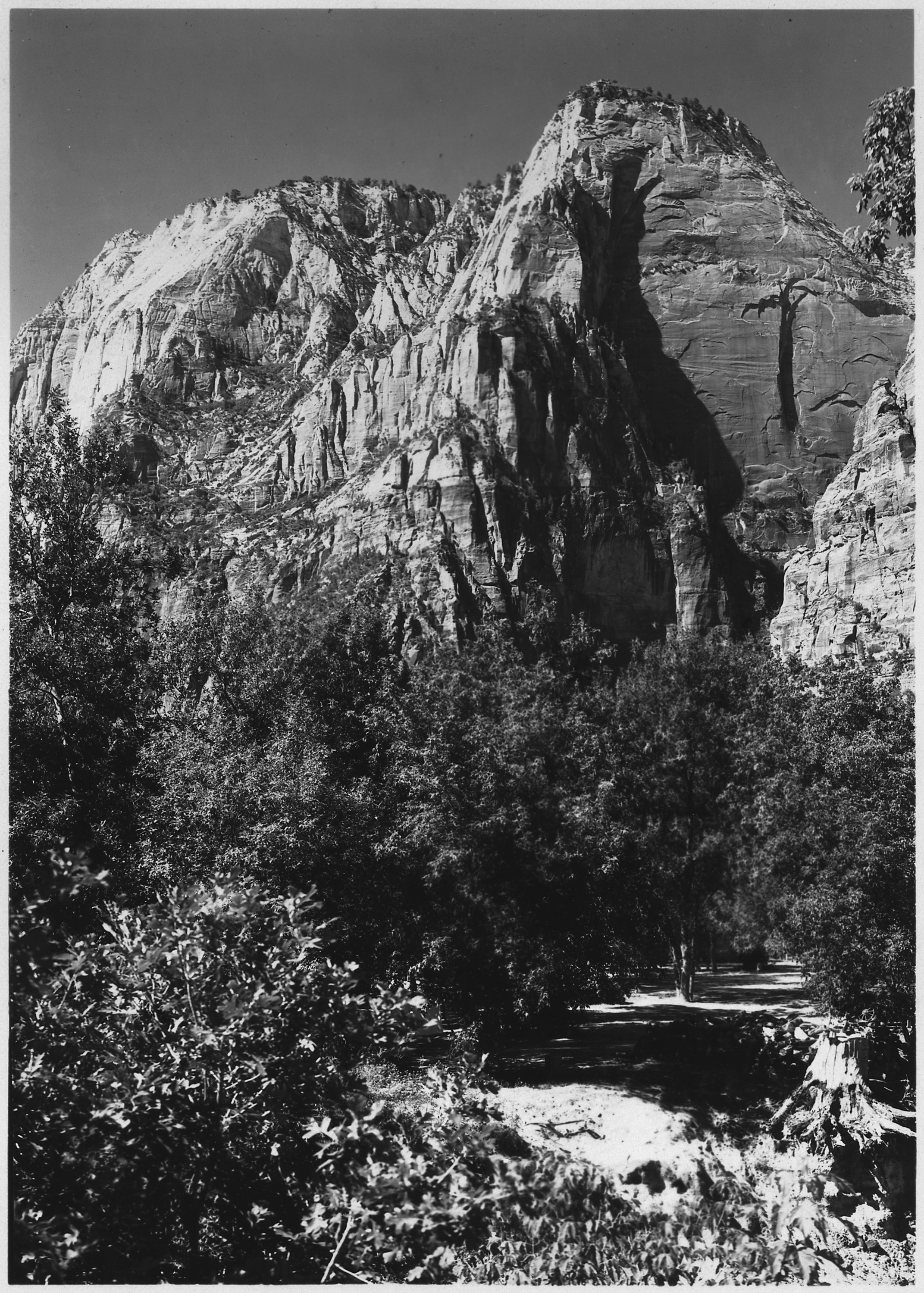 Lady Mountain from above campgroud. So named because of lady's figure to be seen on east face from Zion Lodge. - NARA - 520383