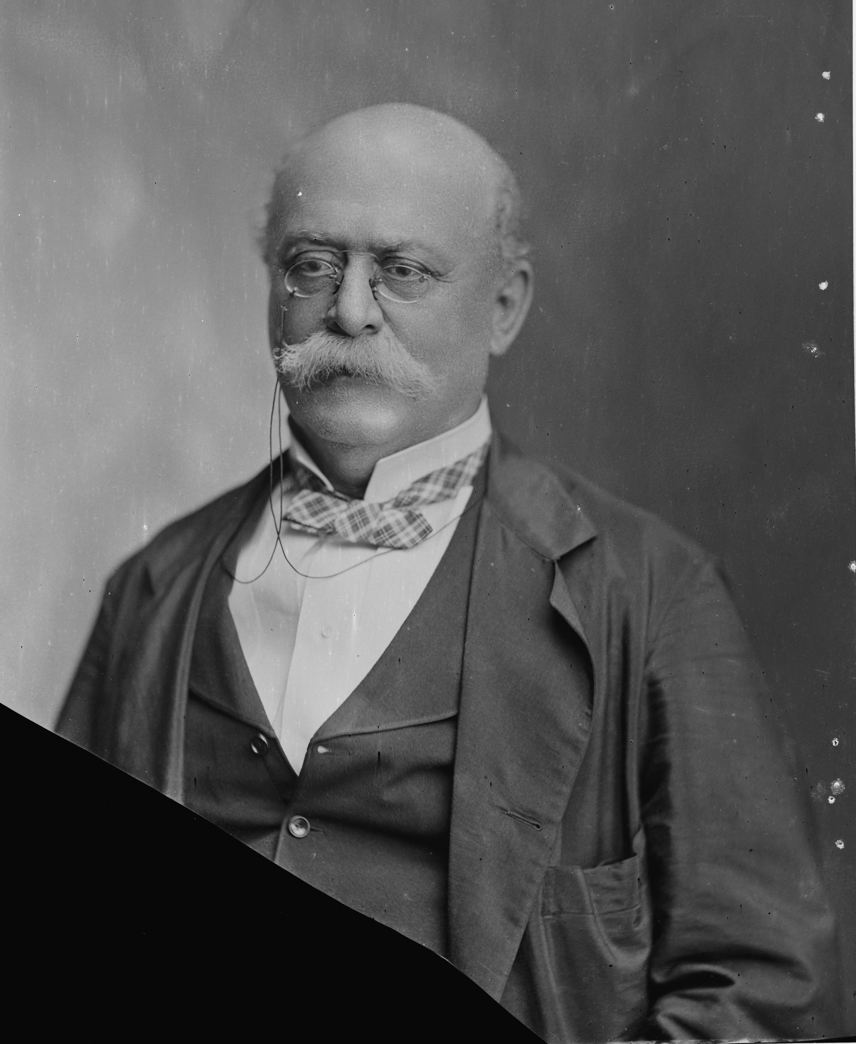 Louis M. Goldsborough - Brady-Handy