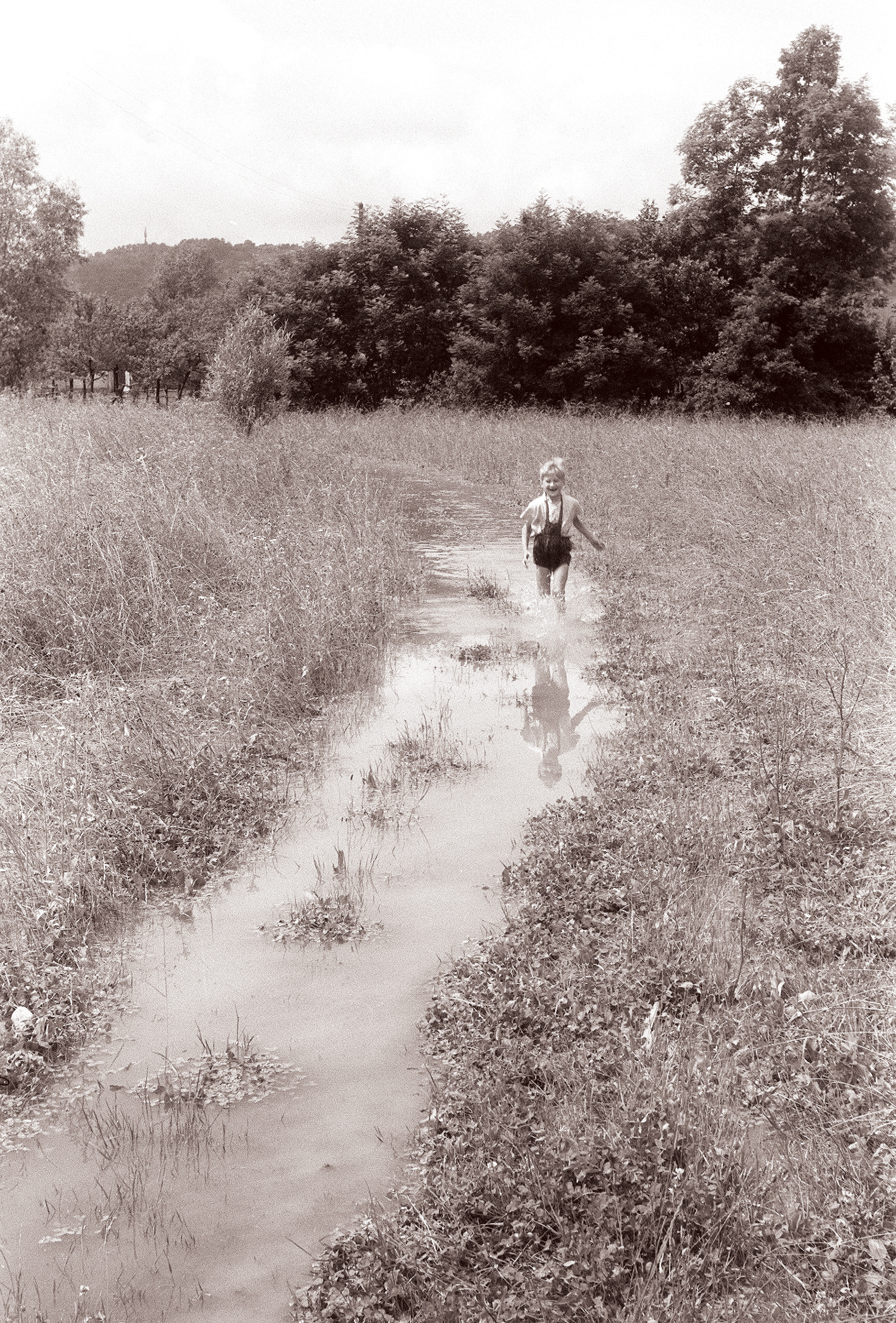 Narasla reka Pesnica 1961 (6)