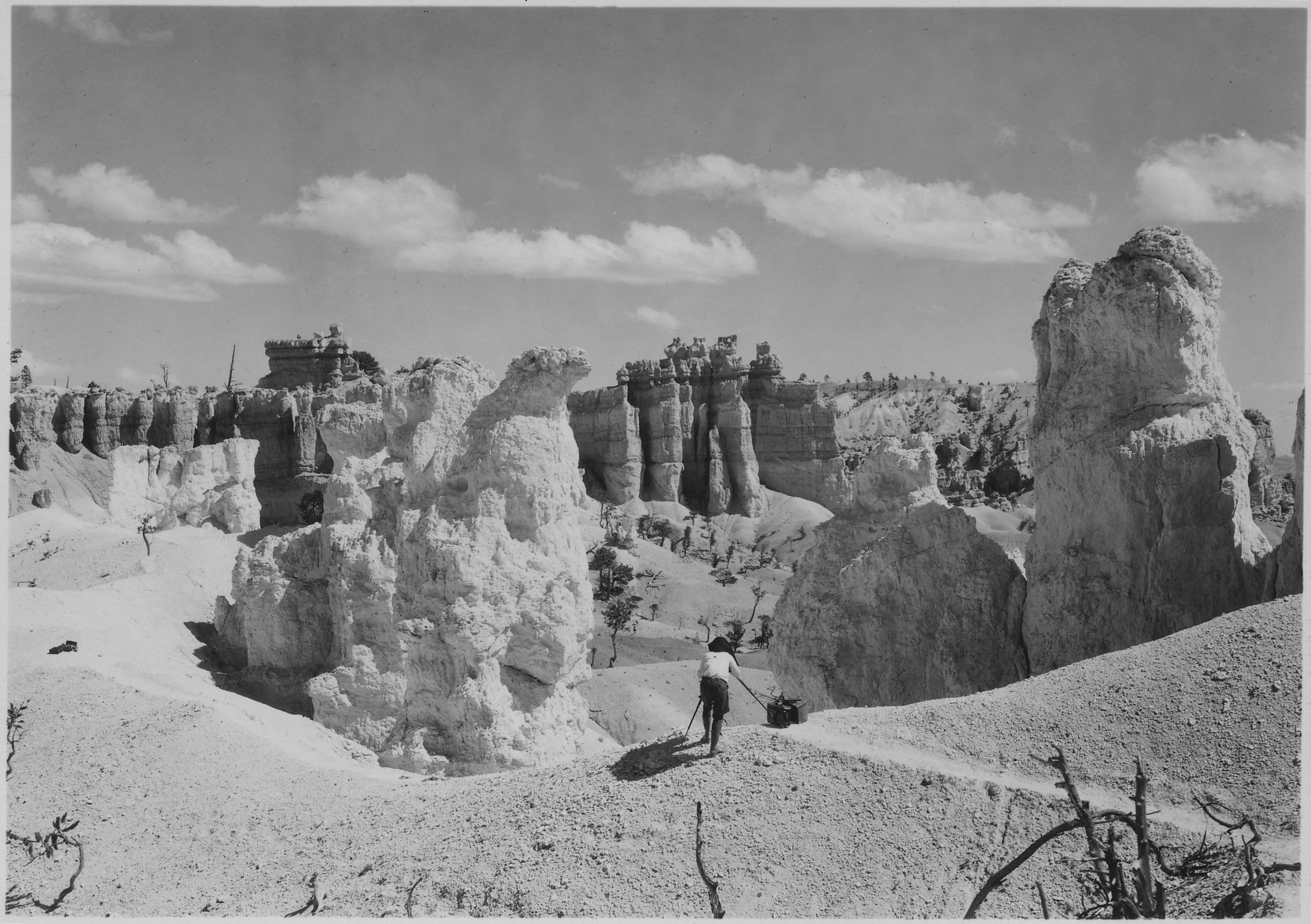 Photographing in Bryce Canyon. - NARA - 520302