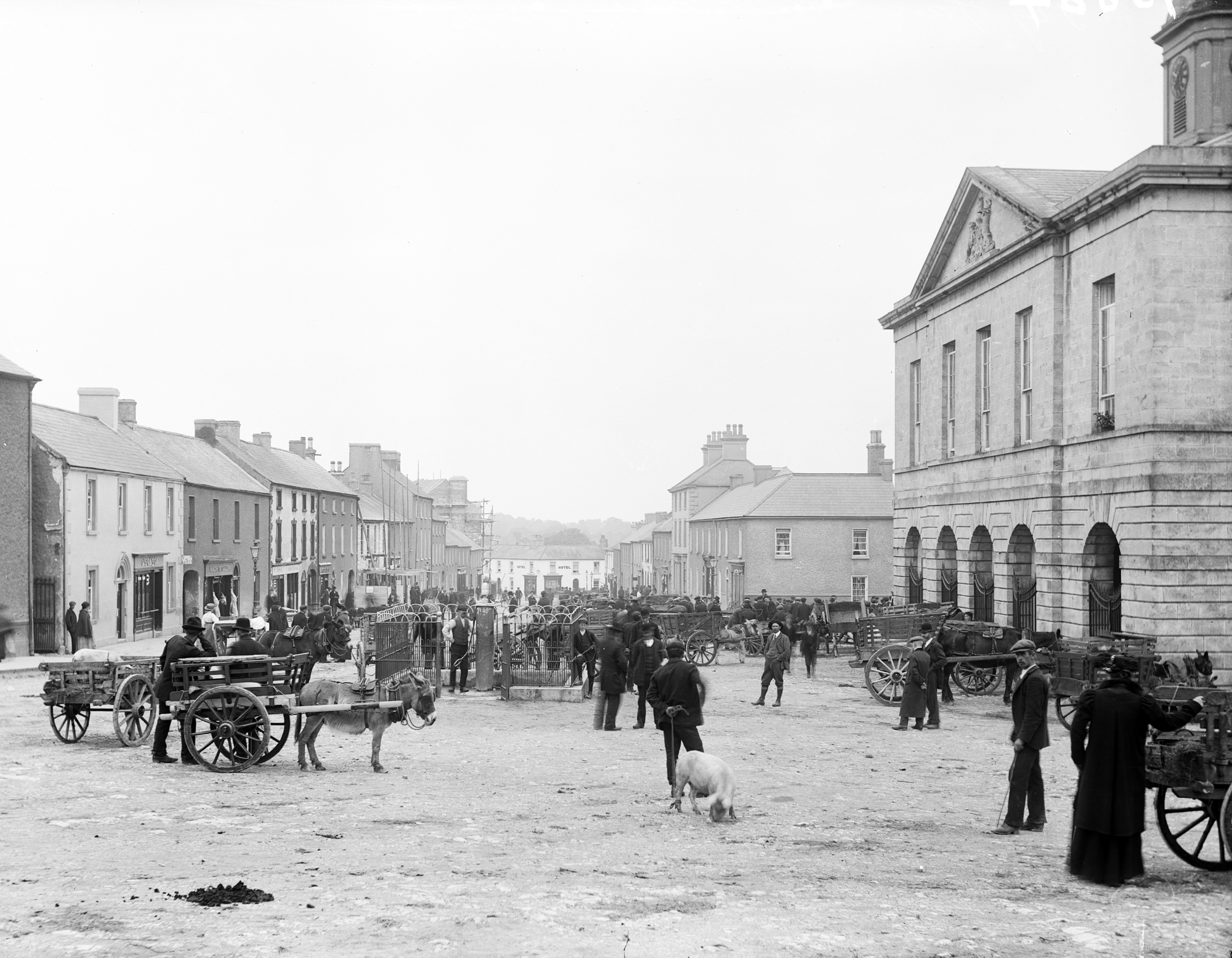 Pig Fair, Edenderry (8388279859)