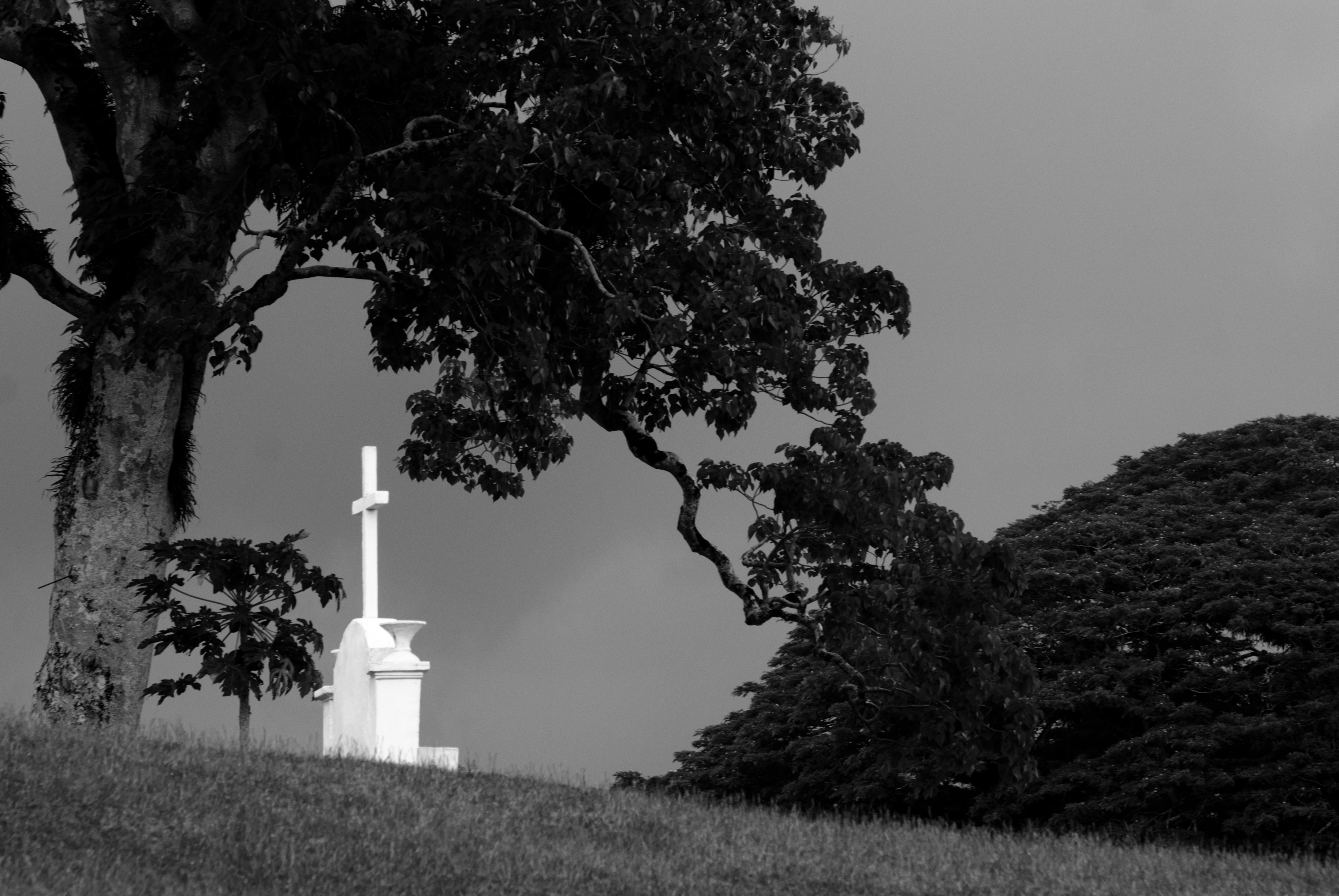 Port Vila Cemetery (Imagicity 590)