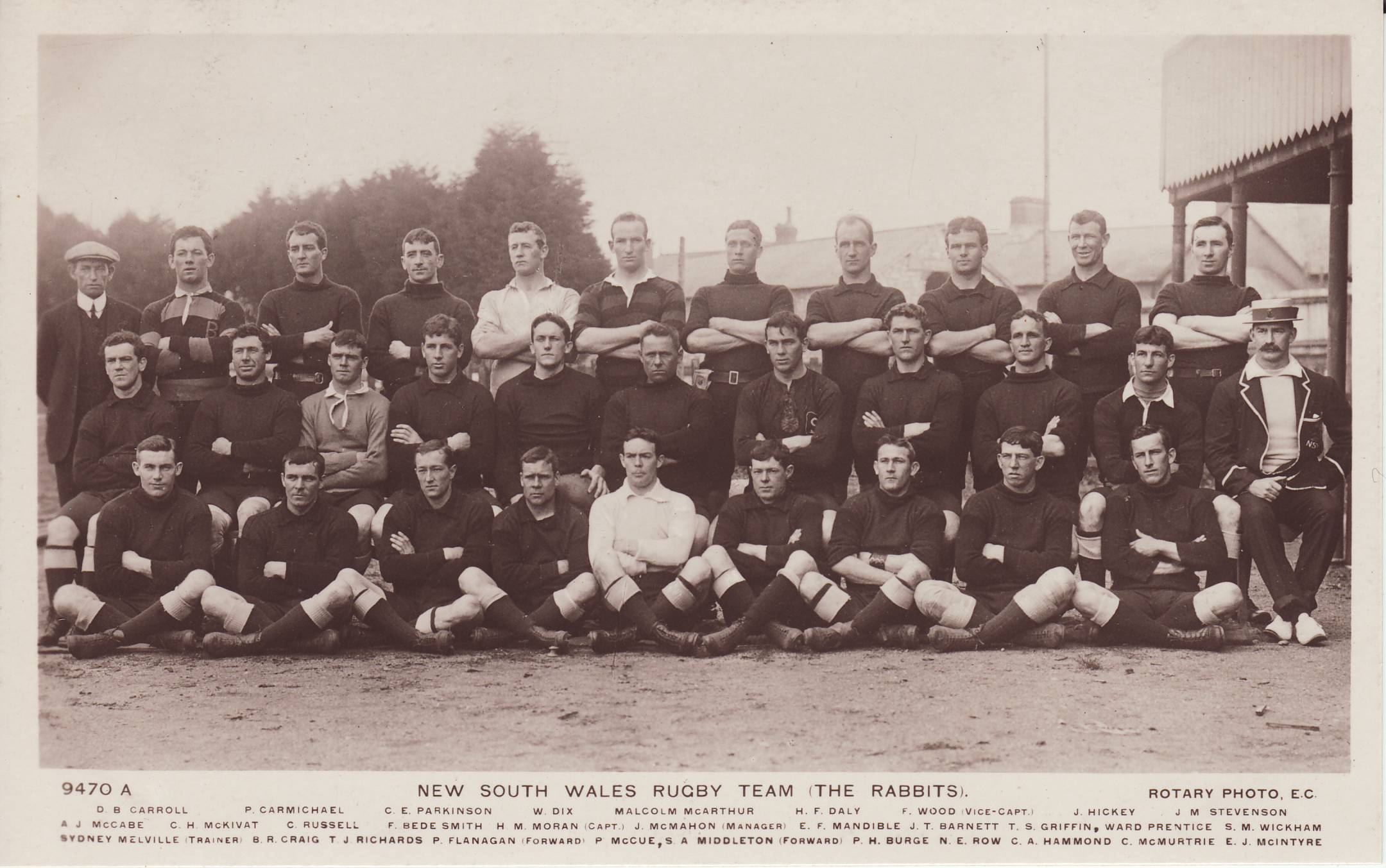 Postcard - Rabbits 1908