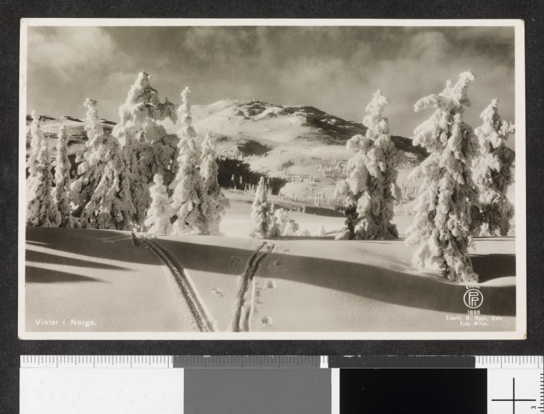 1888. Vinter i Norge - no-nb digifoto 20150126 00003 blds 07156