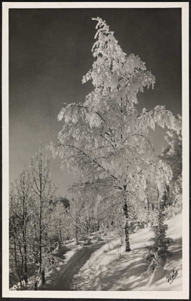 8. Vinter i Norge - Winter in Norway (15862497377)