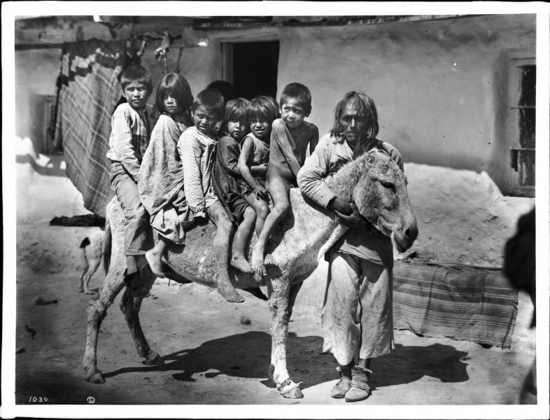 A group of six Hopi Indian children on a burro in the village of Shonguapavi, ca.1901 (CHS-1039)