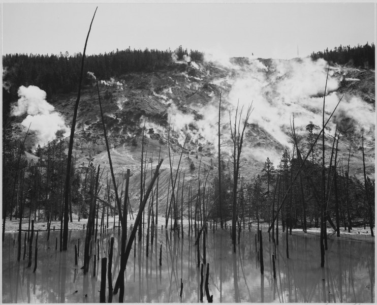 Ansel Adams - National Archives 79-AA-T10