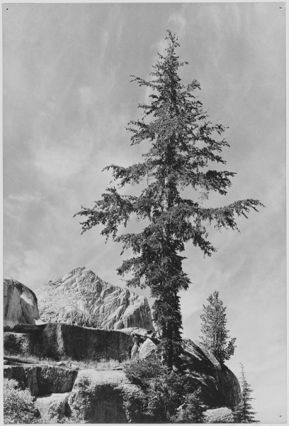 Ansel Adams - National Archives 79-AA-H08