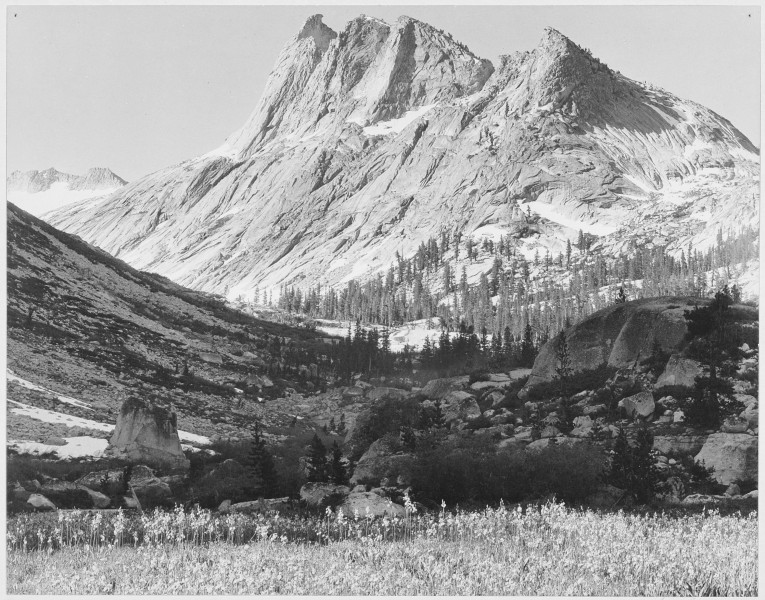 Ansel Adams - National Archives 79-AA-H25