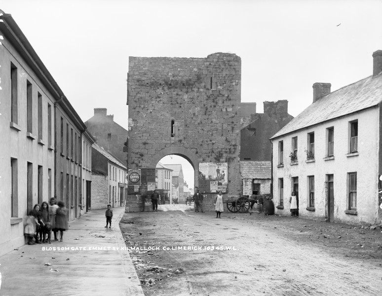 Blossom Gate, Kilmallock, Co. Limerick (5416376278)