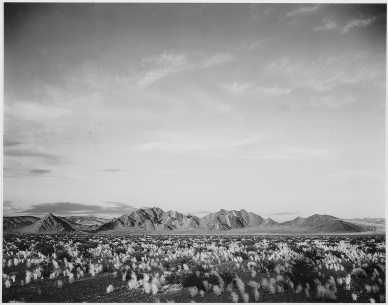 Distant view of mountains, desert, shrubs highlighted in foreground, 