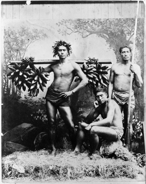 Gatherers of wild bananas, Tahiti, 1887